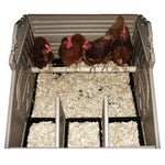 SnapLock™ Regular Chicken Coop (up to 5 chickens)